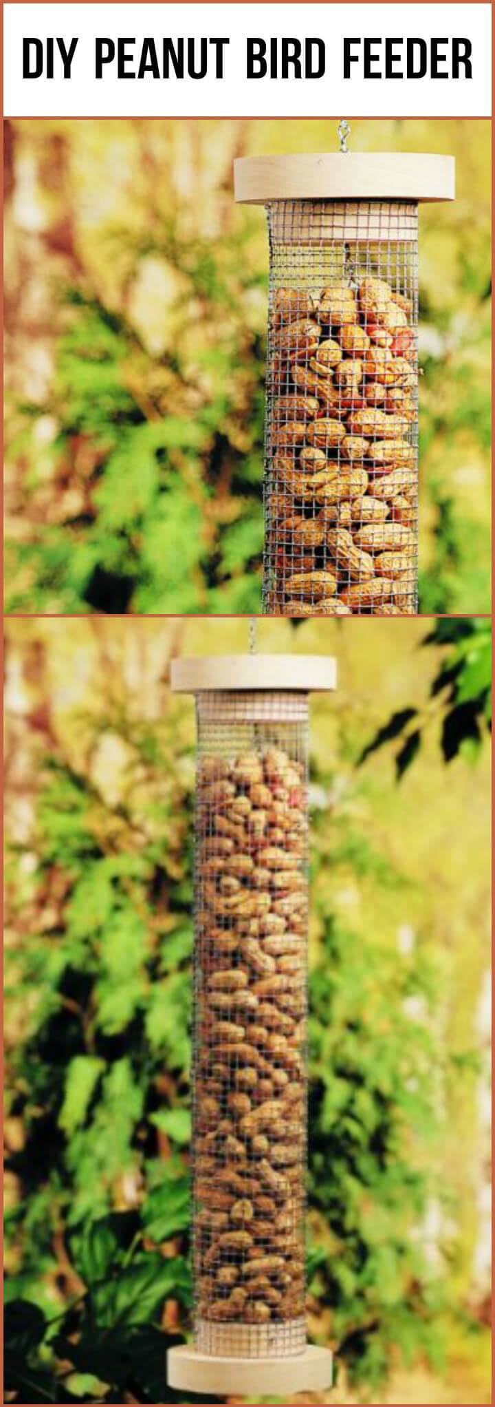 easy bird feeder for peanuts